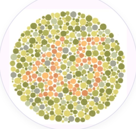 Colorblind Perspective